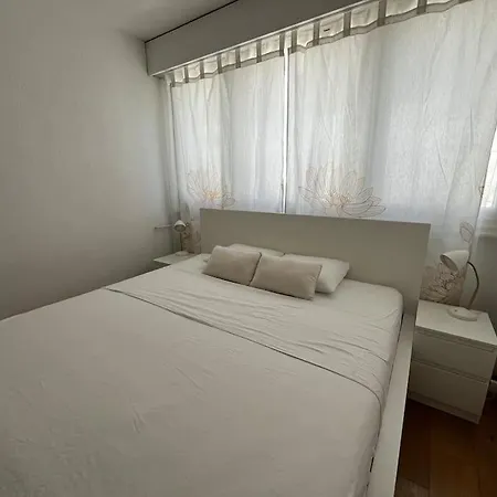 85m2 Au Centre-ville A 2 Pas Du Jet D'eau 公寓 日内瓦